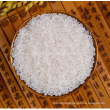 best quality short grain round sushi rice for sale